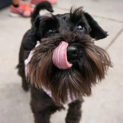 Mavis ๐ profile