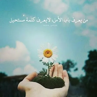 Mouna Chouhaib profile