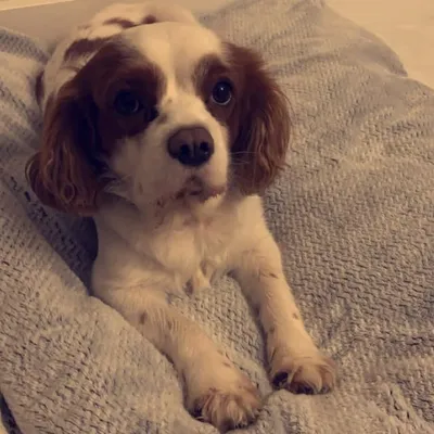 Max☝🏻 profile