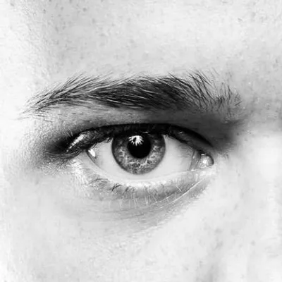Max Hopp profile