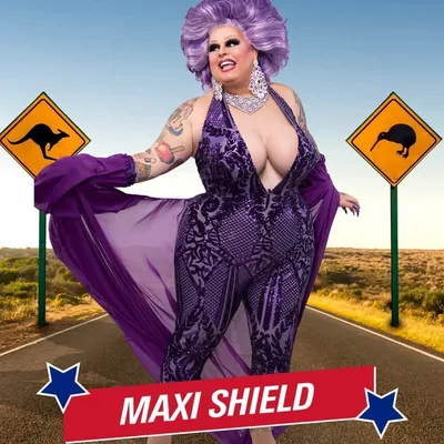 Maxi Shield profile