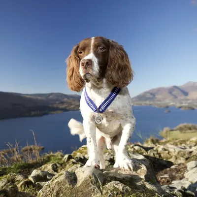 Max Out In The Lake District profile