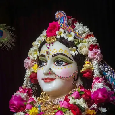 ๐น๐๐๐ง๐ ๐ฟ๐๐๐ข ๐๐๐ฎ๐๐ฅ๐ช๐ง๐น mayapur_paradise profile