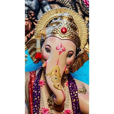 ๐ maza morya ๐ profile