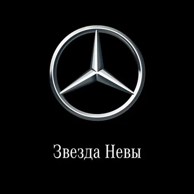 Звезда Невы Санкт-Петербург profile