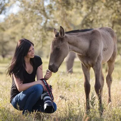 Monika Bogner Photography profile