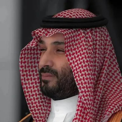 Prince Mohammed bin Salman profile