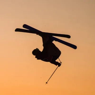 McRae Williams profile