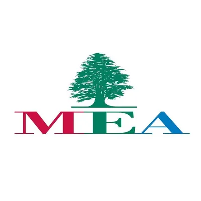 Middle East Airlines profile
