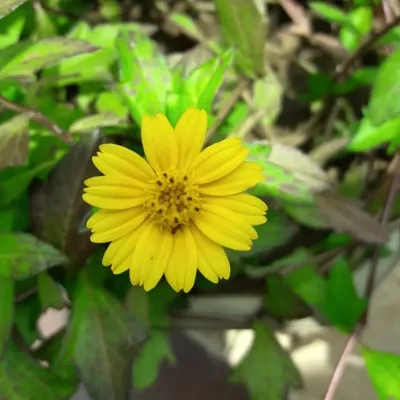 it's deep plant๐ฟ๐ฟ๐๐ profile