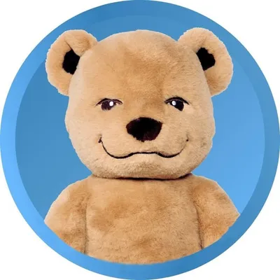 Meddy Teddy profile