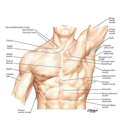 Medical Pg profile