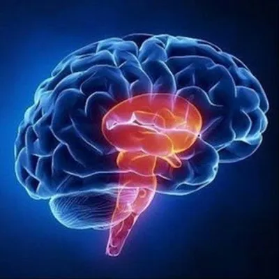 MEDICAL WITH HP ™ profile