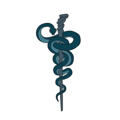 Medical school | Residency | Medicine profile