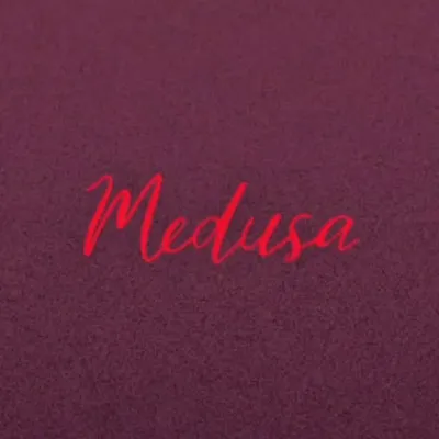 MEDUSA PALM BEACH CANNES profile