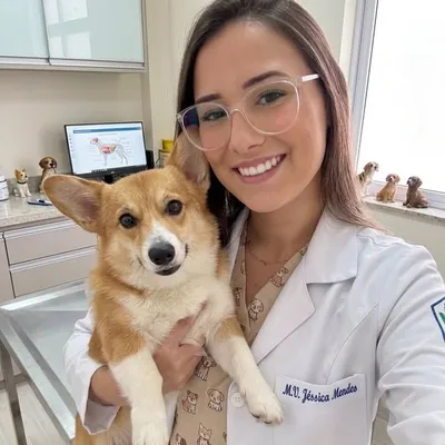 Jéssica Mendes | Resumos medicina veterinária profile