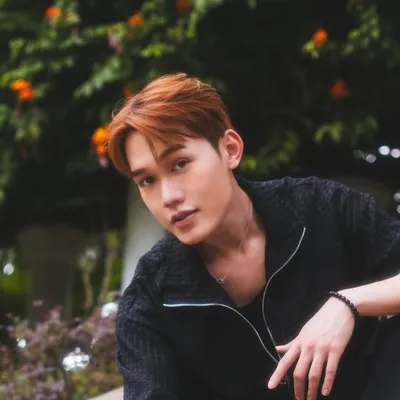 Meer Nash 沙米尔 profile