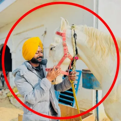 Meet Sandhu 🧸