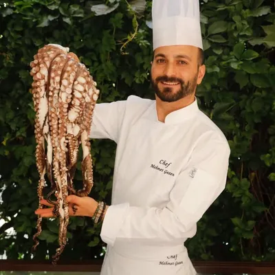 Mehmet GEZEN profile