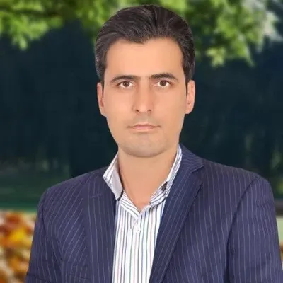 Mehran Sultanynezhad | مهران سلطانی نژاد profile