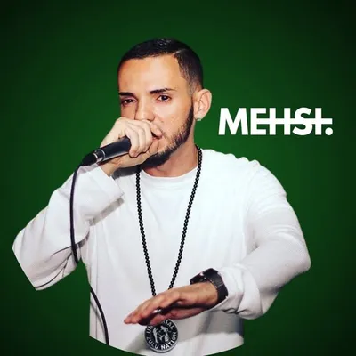 MEHSI profile