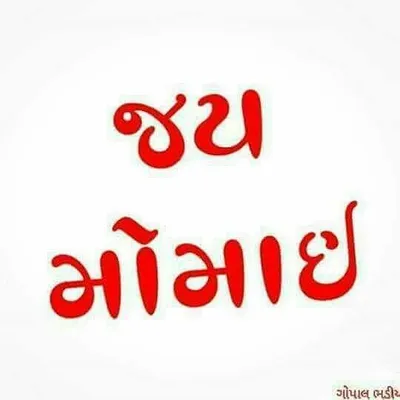 🦁 ખુંખાર ભરવાડીયો 🦁 profile