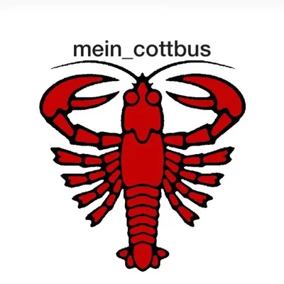 Cottbus profile