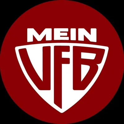 MeinVfB profile