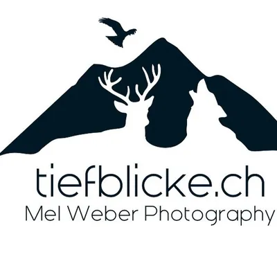 Mel Weber ๐ต profile