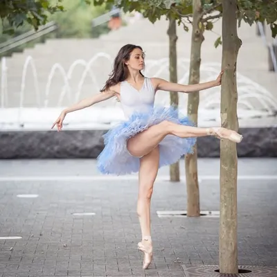 Melanie Hamrick profile