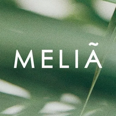 Meliá Hotels & Resorts profile