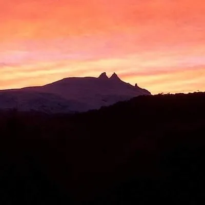 Melimoyu profile
