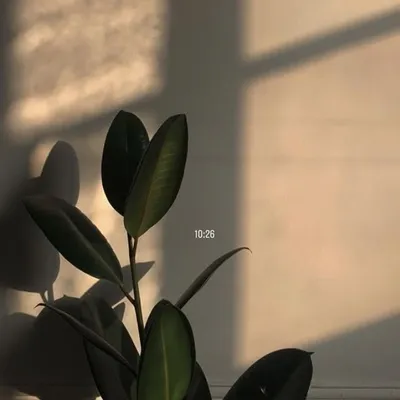 ๐ซ๐๐ถ๐๐๐ฝ๐ถ๐๐ถ๐ป profile