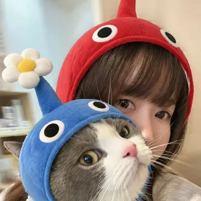 ๐ฐ profile
