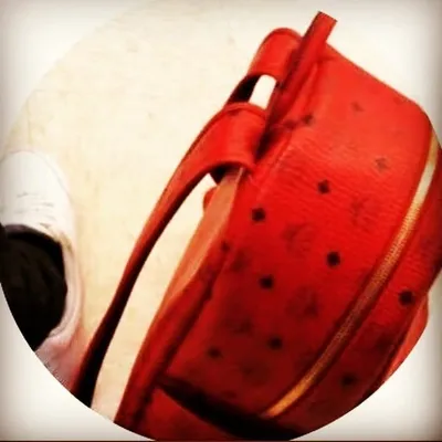 shat profile