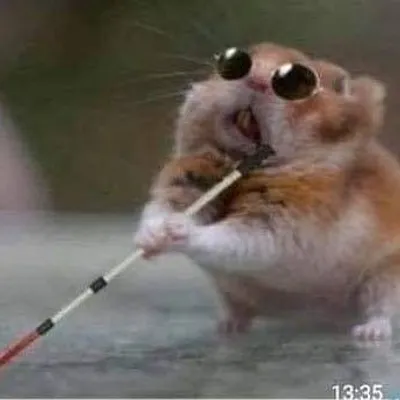 MEMES CHISTOSOS ๐โ profile