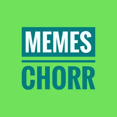 Life Is Nothing But a Meme profile