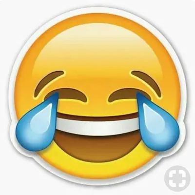 Funny memes profile