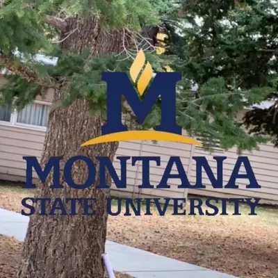 Memes Of Montana profile