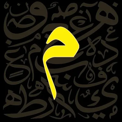 Halal Memes & Videos profile