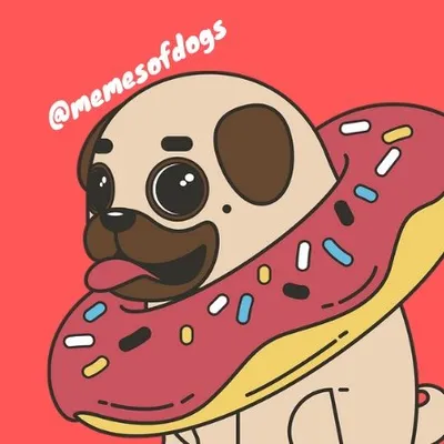 DOG MEMES & VIDEOS profile
