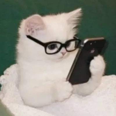 Memesoffia profile