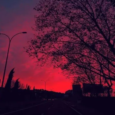 memories_ profile