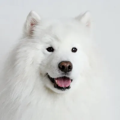 Menley and Mavi ๐ปโโ๏ธ๐ปโโ๏ธ profile