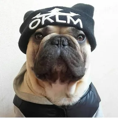 Merlin l'instagrameur ๐๐พ๐ซ๐ท profile