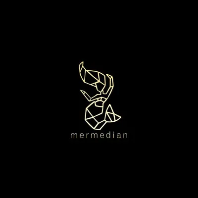 Mermedian Wedding photography🎥 profile