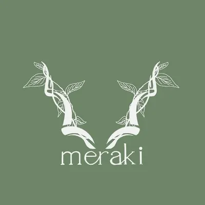 meraki profile