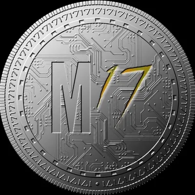 META 17:17 profile