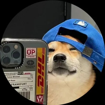 JustRandomThoughts profile
