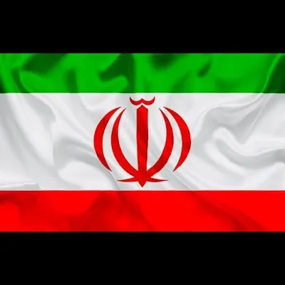 سیدمحمدحسین امامی profile